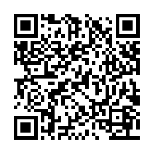 寻宝鼠便是潜伏在周围的地底下帮助陈灵素警戒的二维码生成