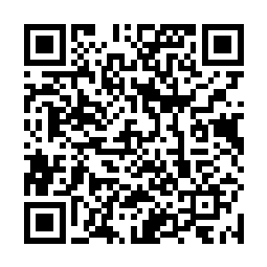 寻常七品是很难在一位八品墨徒手下坚持一炷香时间的二维码生成