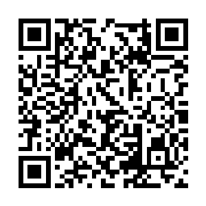 寻找海底沉船宝藏的心思已经存在欢喜哥的心里了二维码生成