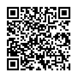 寻机偷袭杀死离开营地的缅军士兵和佛郎机火枪手二维码生成