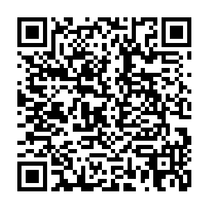 寻觅一下后雪如楼只回身飞快跑过去捡起几根和他差不多高较粗的枯树枝二维码生成