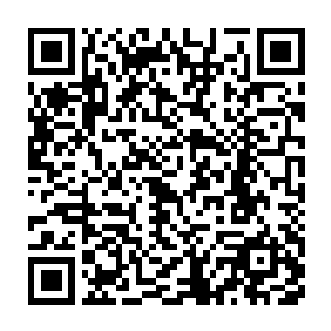 导演兼编剧的叶惟在悬疑推理和实事求是间建立了一种令人敬畏的张力二维码生成