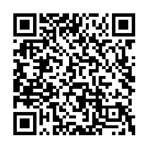 导演没事就找你去商量角色定位言语台词什么的二维码生成