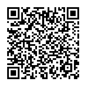 导演起码也会把你拍得很漂亮――也会有足够多的人来欣赏你这个花瓶二维码生成