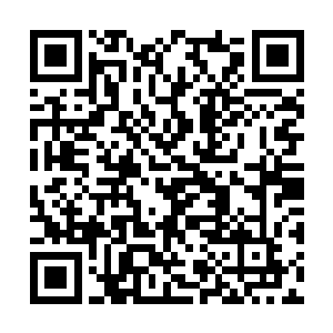 导致关键的地方毫无遮拦的出现在了孙子轩的眼中二维码生成