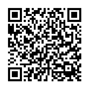 导致有些年轻人失恋或者故意整点事情处理打电话给这个节目二维码生成