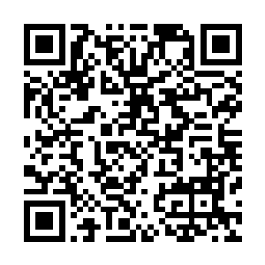 导致红拂村土地被占用了半年以上依然未能获得赔付和补偿二维码生成