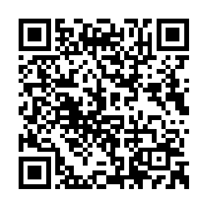 导致绝望的原因是连强大到这种程度的史前文明二维码生成