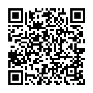 导致这一切只不过是因为两位风水师的手段较量二维码生成