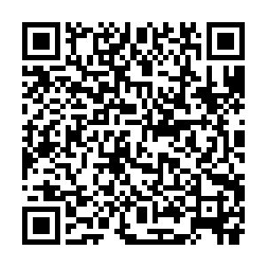 导致那成年人的魂魄从婴孩还在娘胎里时候就已经侵入那婴孩的身体二维码生成