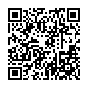 导致钢铁之城里的巫师没马文想象中的那么密集二维码生成