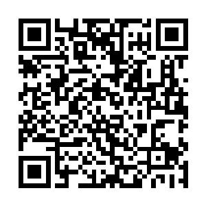 导购小姐把手里的一个玩具熊的背部展示在秦宇眼前二维码生成