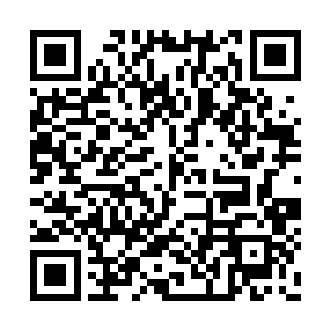 封不觉却好似早已预判到了他们的行动轨迹一般二维码生成