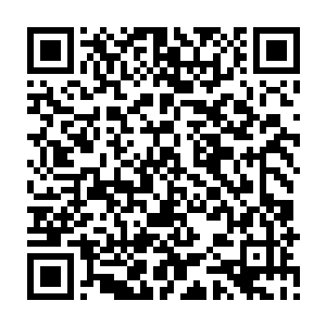 封不觉妥妥儿的会选择从一开始就不要什么权力……所以之前他还抱着一丝幻想二维码生成