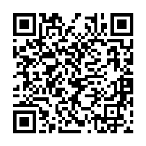 封仙城副城主河洛带着八大势力的强者血洗洞虚派二维码生成