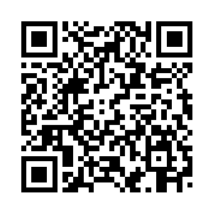 封印之龙现在也真的是没有办法了二维码生成