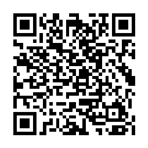 封锁的万丈虚空在这一棒之下轰的一声传来脆响二维码生成