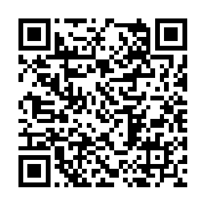 封闭的宇宙魔池环绕着费南以及他周边的蛮荒地区二维码生成