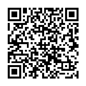 将一些纪念不认识的自家的亲朋好友介绍给她认识二维码生成