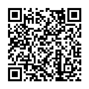 将一块中品魔元石放到了桌子上之后也跟着山姆飞二维码生成