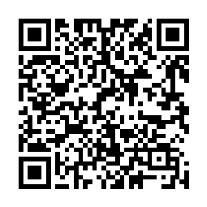 将一块未经打磨的璞玉直接放在了红尘江湖这个大染缸里了二维码生成