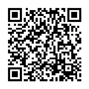 将一大块绿色的皮肉干净利索从臂上剥离了下来二维码生成