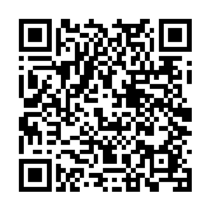 将一条七品神级的冰龙用来拉车的究竟是何方神圣二维码生成