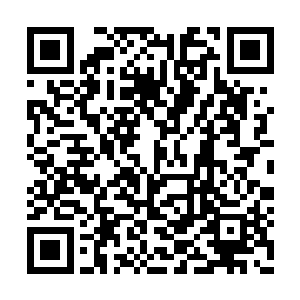 将一道道色香味俱全的菜肴送到一张张桌子之上二维码生成