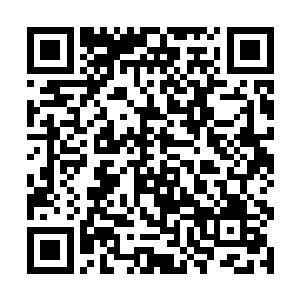 将一道道足以轰爆小行星的力量送入斑斓水母的体内二维码生成