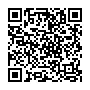 将一面隐藏在大殿下方的传送阵从地下升了起来二维码生成