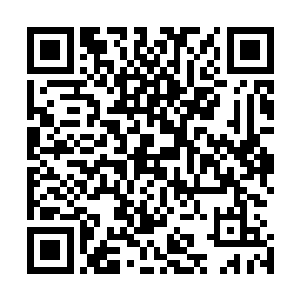 将三伯父养的那几条纯血的獒犬杀死……那个时候的沈砚山二维码生成
