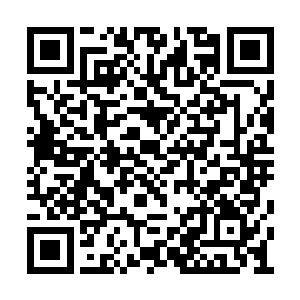 将上面的阵势复原就成了马蜂也进不来咱们那边二维码生成
