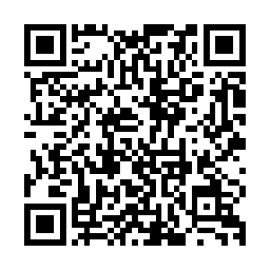 将与会所有顶着黑眼圈看起来精神略显萎靡的高管全部留了下来二维码生成