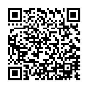 将与冷千羽他们几个孩子一起聊天的皇甫玦和皇甫琦带过来二维码生成