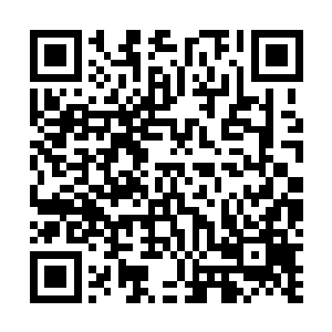 将之前六级蜘蛛留在雷林身上的梦境能量全部吸收了进去二维码生成