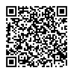 将于12月11日在全世界多个国家和地区的数字影院免费放映长达15分钟的片段二维码生成