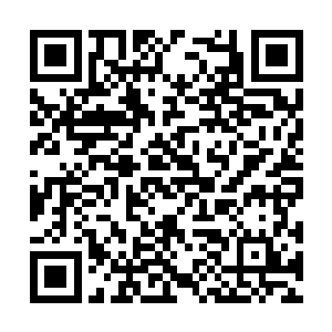 将人类脆弱的脑袋变成西瓜对他而言不是什么难事二维码生成