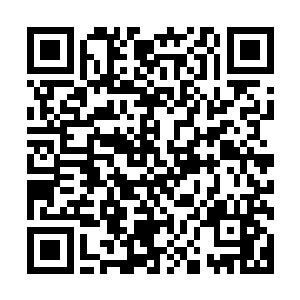 将今天发生在严复居所的事情一五一十的向着袁世凯做了回报二维码生成