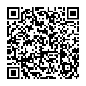 将从生态层获取的新鲜食材变成了一桌丰盛的带着浓重苏城特色的佳肴二维码生成