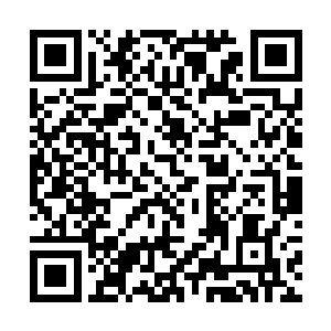 将他们的神舟硬生生的从虚空风暴的边缘给拖了出来二维码生成