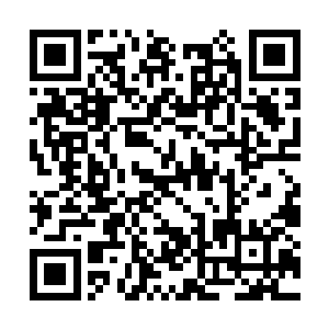 将他在万界王庭中获得的一些神兵宝物留了些下来二维码生成