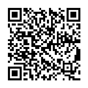 将他的那一大包宾果忘在了旁边的一块干燥岩石上二维码生成