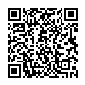将仙阵之中的一千左右的分神期以上的修士尽皆唤醒二维码生成
