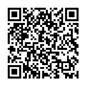 将众人的视线迅速转移到了那个不为人知的幕后人士二维码生成