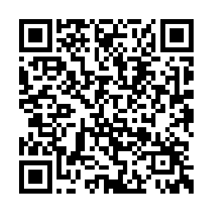将众位大太监的名字与眼前人物摸索着对上了号二维码生成