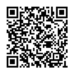 将会对你们湖西市的经济起着推进剂的强大作用二维码生成