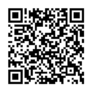 将会引起玄蛇国多少王侯臣将的感恩和彻底臣服二维码生成