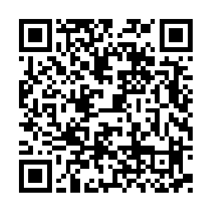 将会是在你们右侧距离百万公里的一颗陨石之上二维码生成