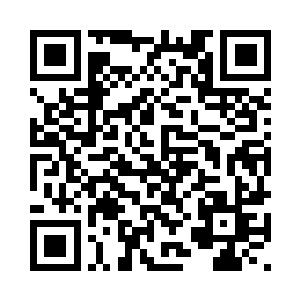 将会是布鲁克家族永远的忠实伙伴二维码生成