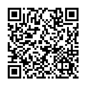 将会组织一个专家组特别针对凌笑的情况进行治疗二维码生成